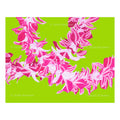 Greeting Cards by Judd Boloker