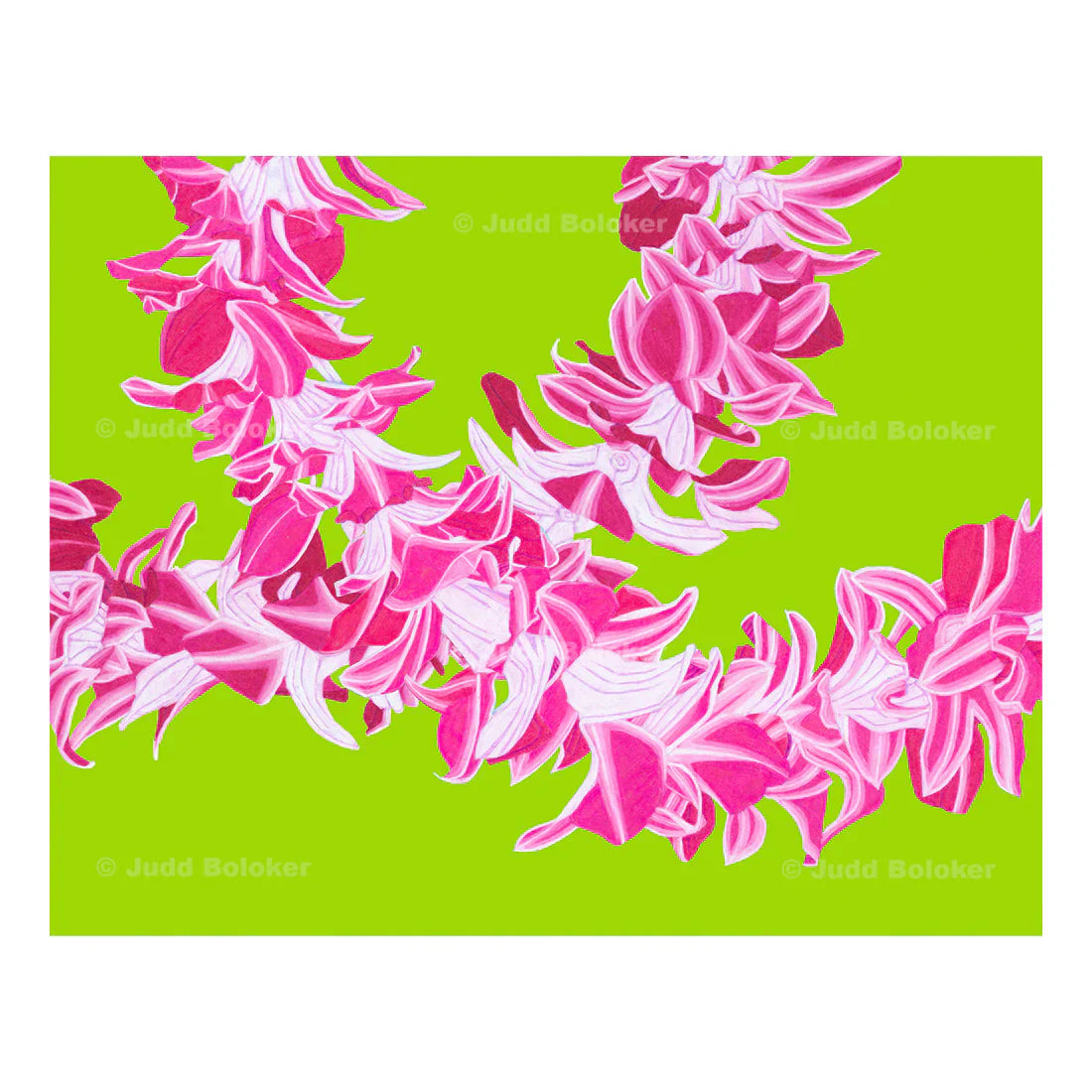Greeting Cards by Judd Boloker