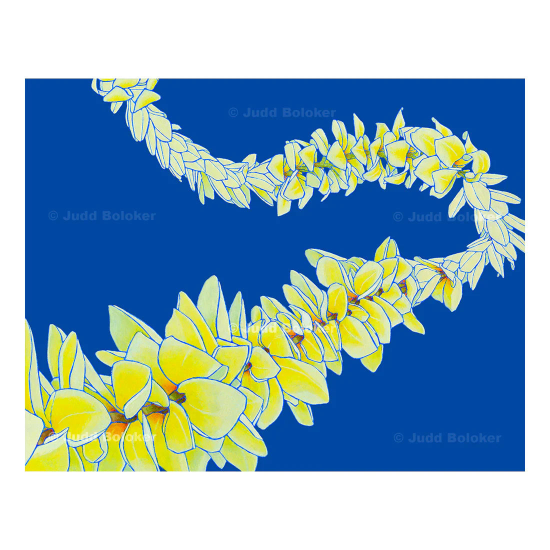Greeting Cards by Judd Boloker