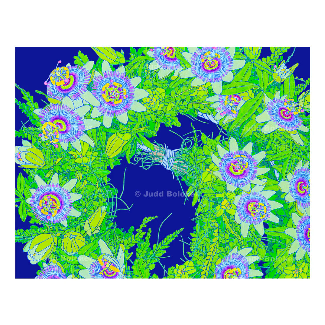 Judd Boloker 180 Lilikoi Large Print 16x20"