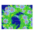 Judd Boloker 180 Lilikoi Small Print 11x14"