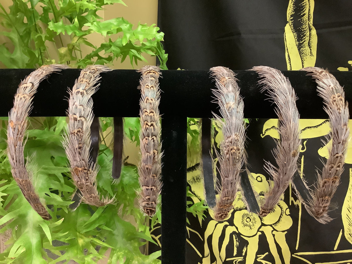 Weslyns Grey Pheasant Feather Headbands