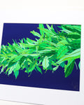 Judd Boloker 113 Maile State II Small Print 11x14"