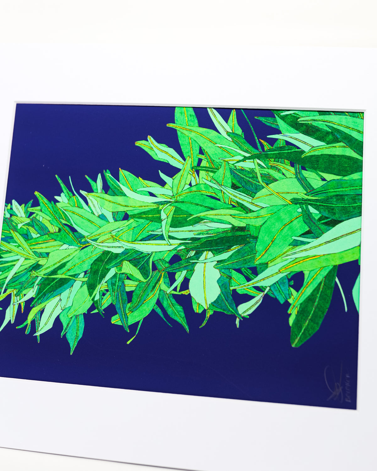 Judd Boloker 113 Maile State II Small Print 11x14"