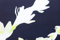 Judd Boloker 123 Tuberose Small Print 11x14"