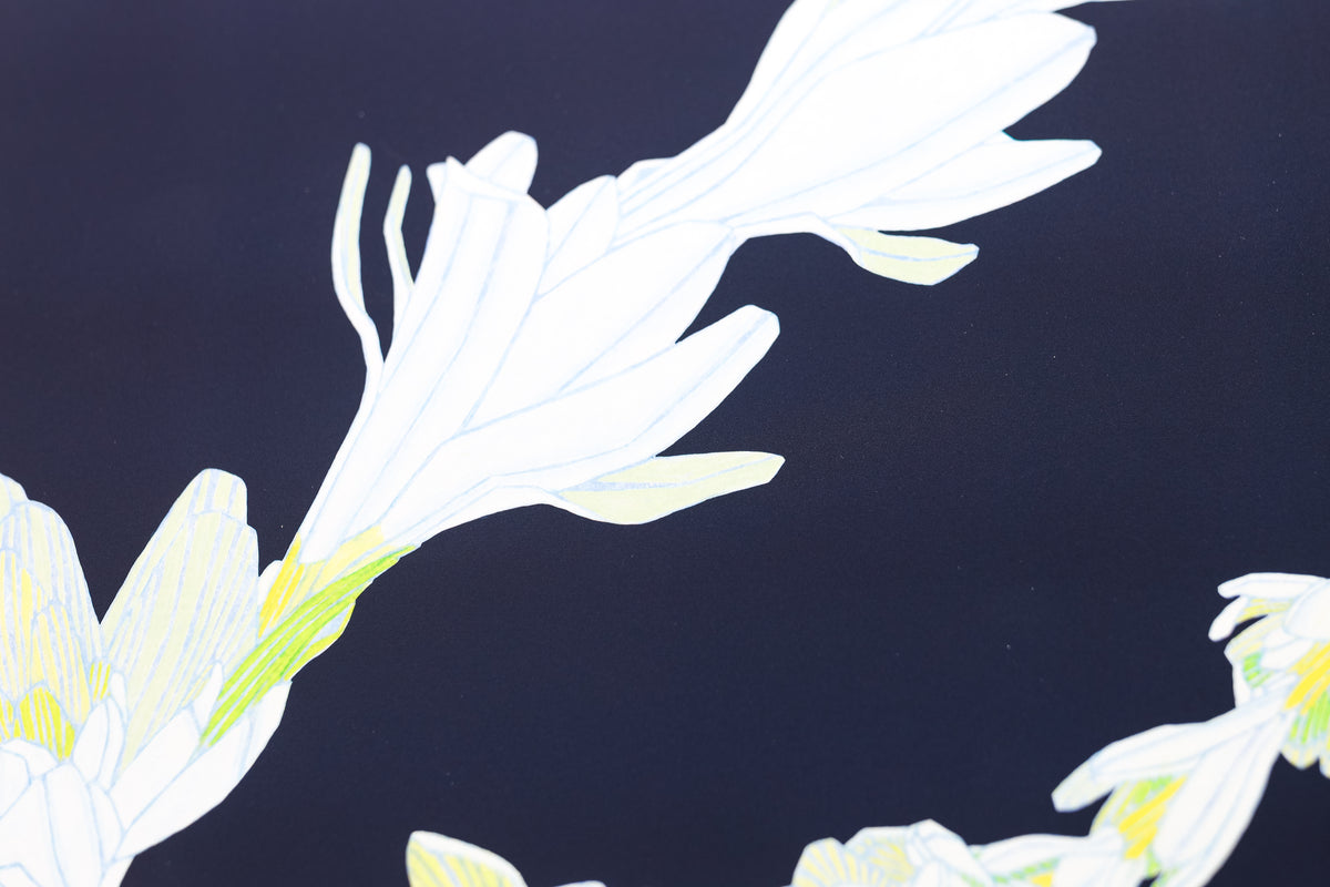 Judd Boloker 123 Tuberose Small Print 11x14"