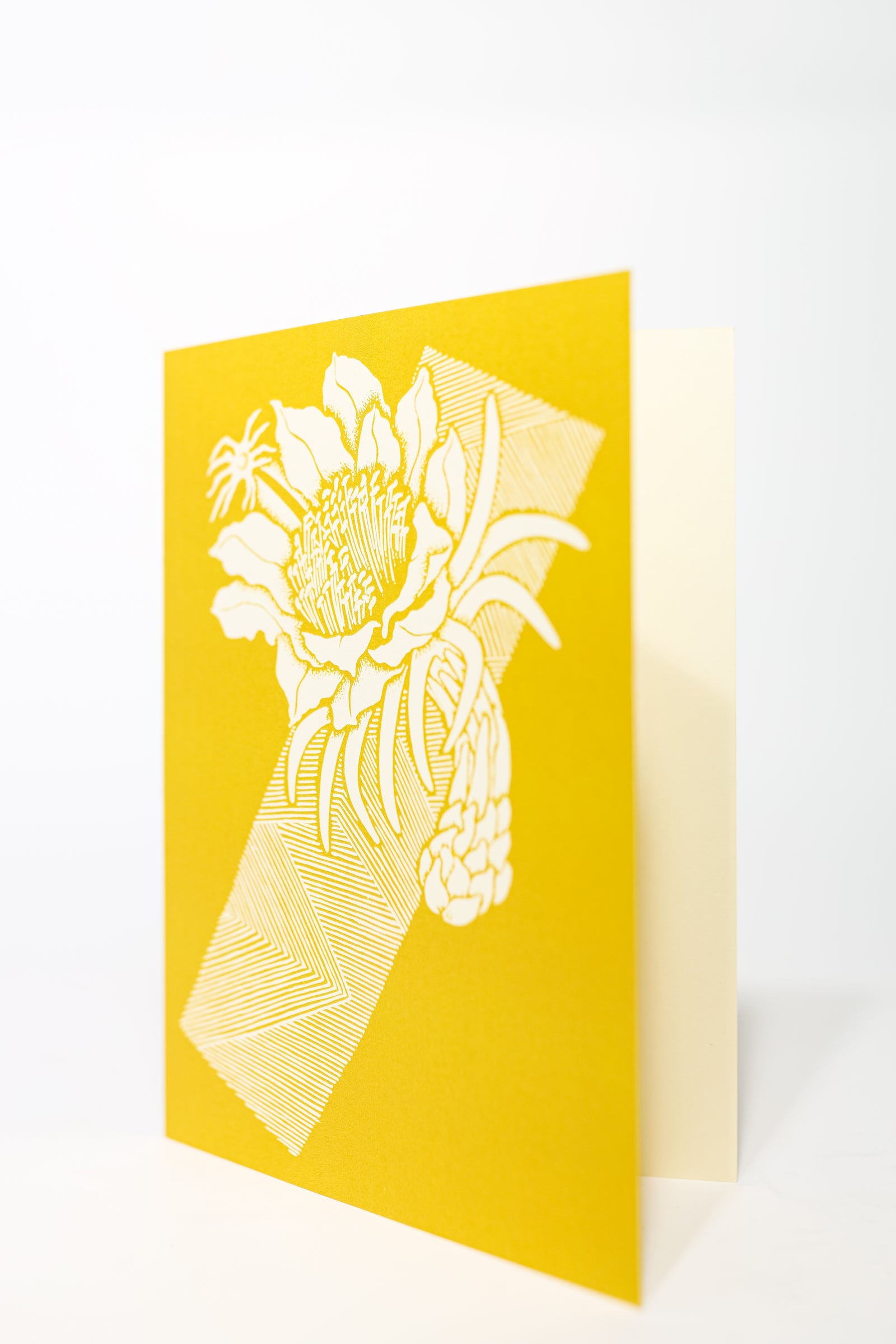 Tutuvi Night Blooming Cereus Note Card 5" x 7"