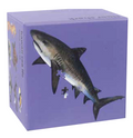 Wiki Wiki 20 Minute Puzzles - Sea Life of Hawaii