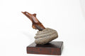 Dolphin Kou on Basalt - Jerry Vasconcellos
