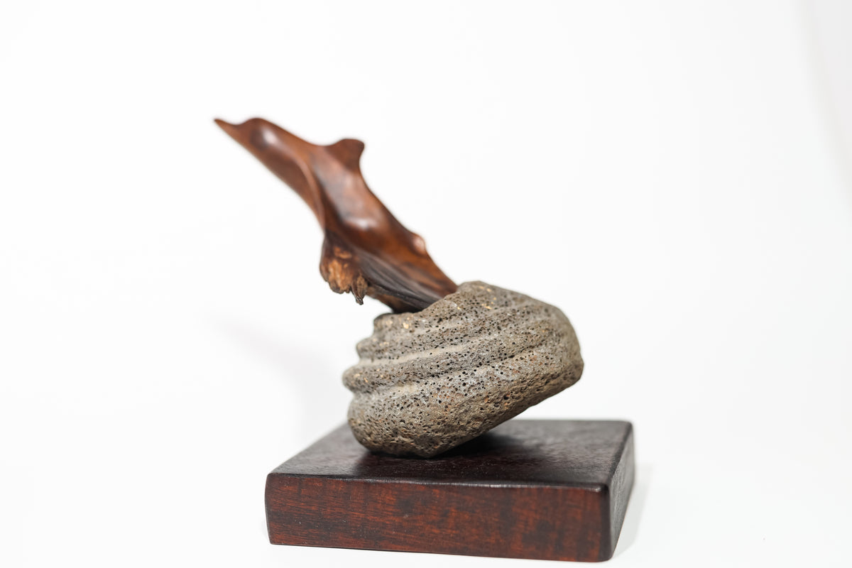 Dolphin Kou on Basalt - Jerry Vasconcellos