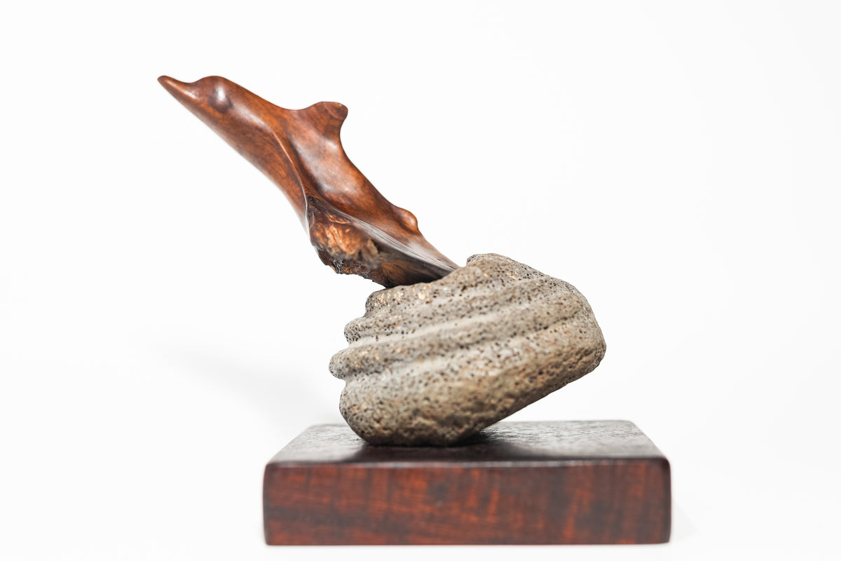 Dolphin Kou on Basalt - Jerry Vasconcellos