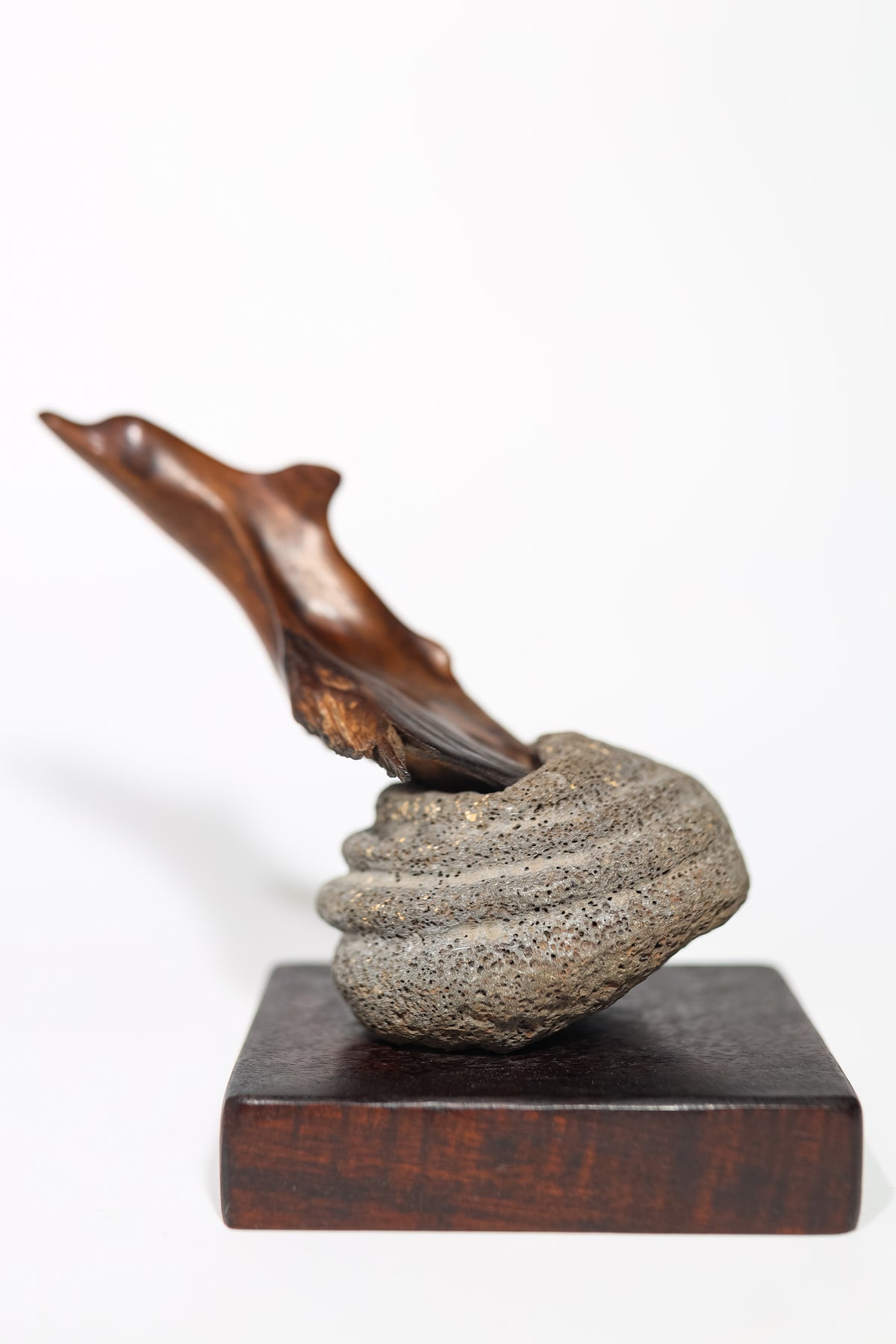 Dolphin Kou on Basalt - Jerry Vasconcellos