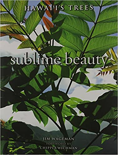 Sublime Beauty Hawaii's Trees