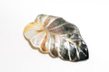 Mother of Pearl Barrette Leaf Large