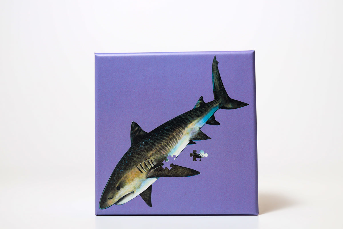 Wiki Wiki 20 Minute Puzzles - Sea Life of Hawaii – alternate view 4