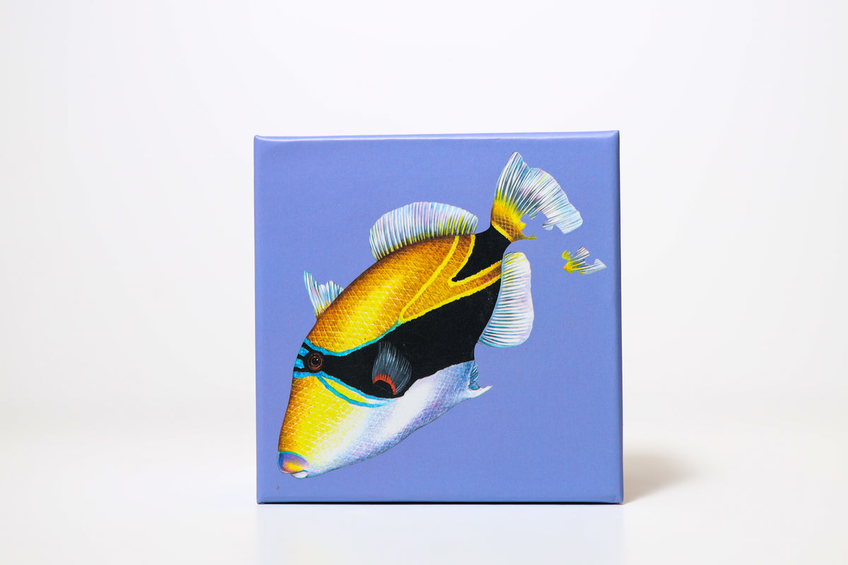 Wiki Wiki 20 Minute Puzzles - Sea Life of Hawaii – alternate view 8