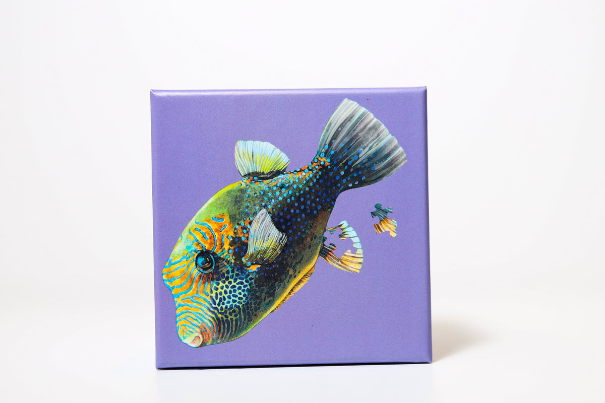 Wiki Wiki 20 Minute Puzzles - Sea Life of Hawaii – alternate view 10