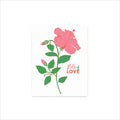 Assorted Cards by Nico Made