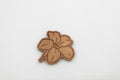 Hawaiian Flower Magnet - Puakenikeni