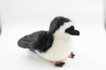 Kahoʻokele the ʻUaʻu (Hawaiian Petrel) Plush
