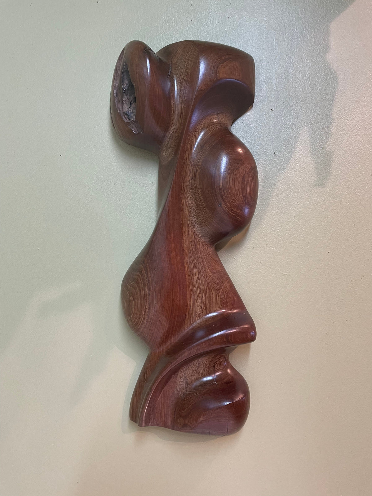 Facial ʻŌhiʻa Sculpture - Jerry Vasconcellos