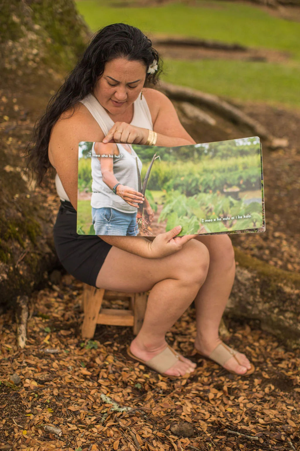 I Mea Aha Ke Kalo? - Hawaiian Language Board Book