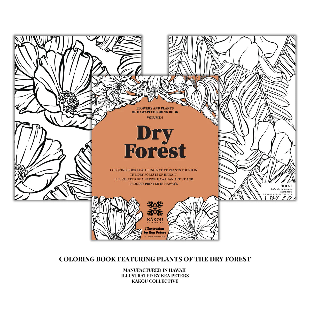 Coloring Book by Kakou Collective