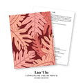 Canoe Plants II Greeting Card Collection