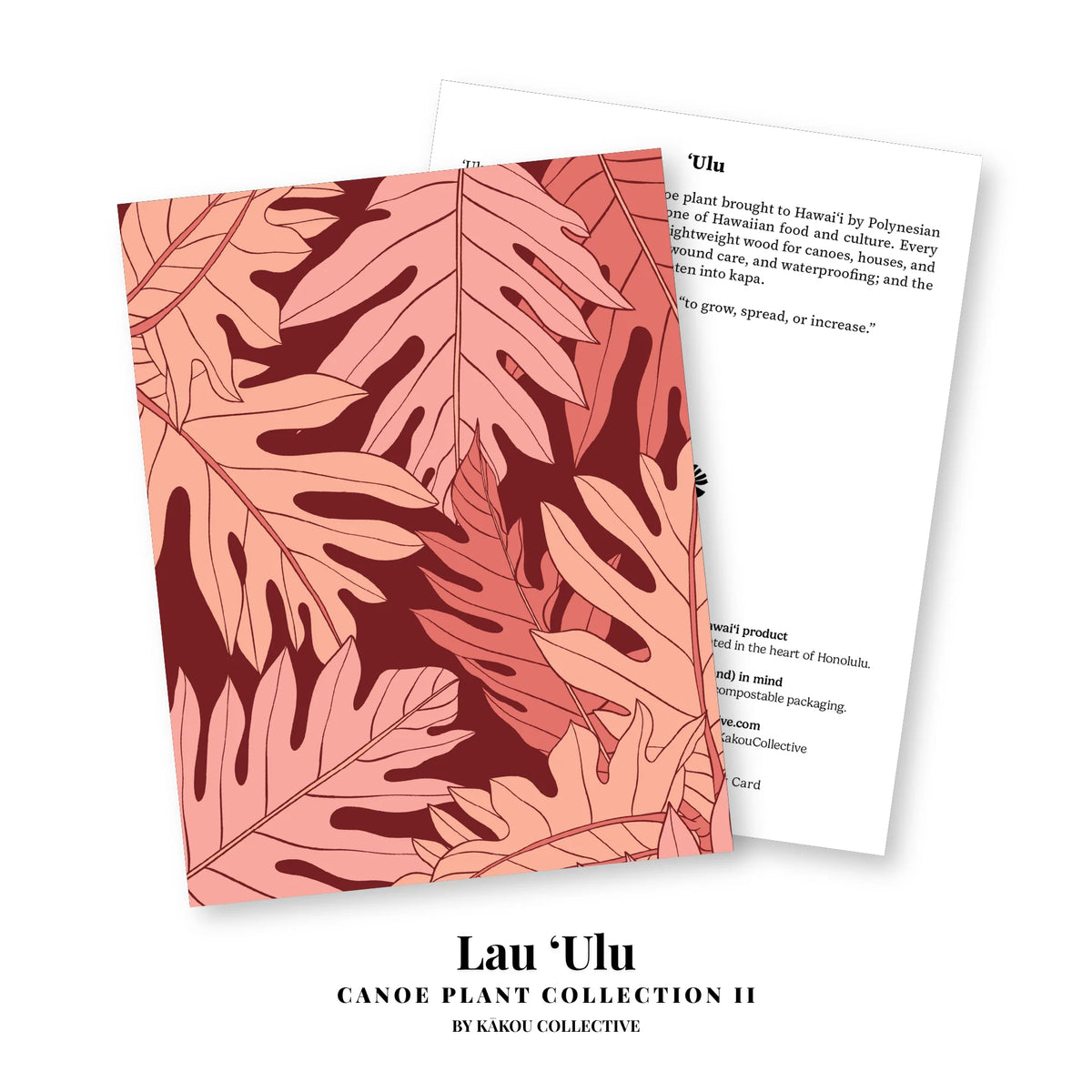 Canoe Plants II Greeting Card Collection