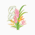 Assorted Stickers by Nico Made