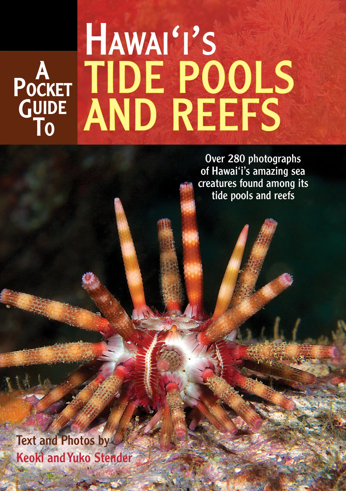 A Pocket Guide to Hawai‘i’s Tide Pools and Reefs cover