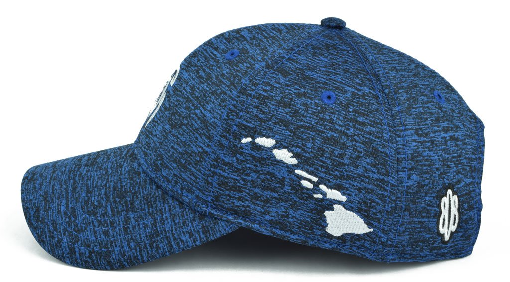 Pop-Up Mākeke - 808 Clothing - Honu (Turtle) Dad Hat - Left Side View