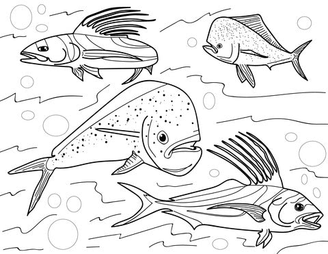Pop-Up Mākeke - Advance Wildlife Education - Fish of the Pacific Coast Wildlife Coloring Book