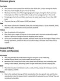 Pop-Up Mākeke - Advance Wildlife Education - Fish of the Pacific Coast Wildlife Coloring Book - Fun Facts