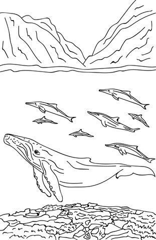 Pop-Up Mākeke - Advance Wildlife Education - Native Hawaiian Wildlife Educational Coloring Book - Coloring Page