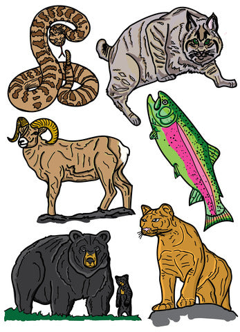 Pop-Up Mākeke - Advance Wildlife Education - Southern California Wildlife Educational Coloring Book