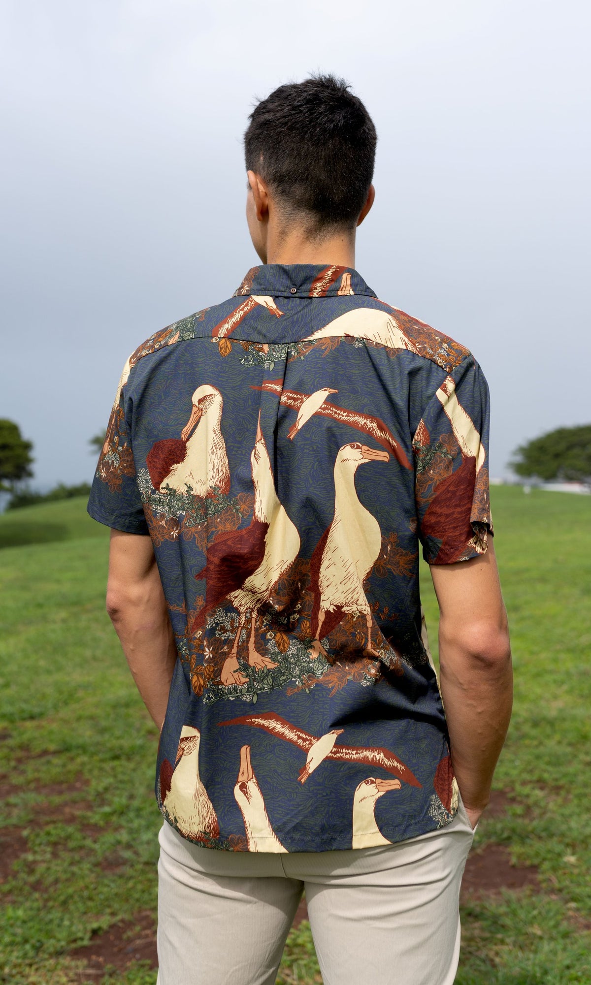 Pop-Up Mākeke - David Shepard Hawaii - Nesting Albatross Men's Aloha Shirt