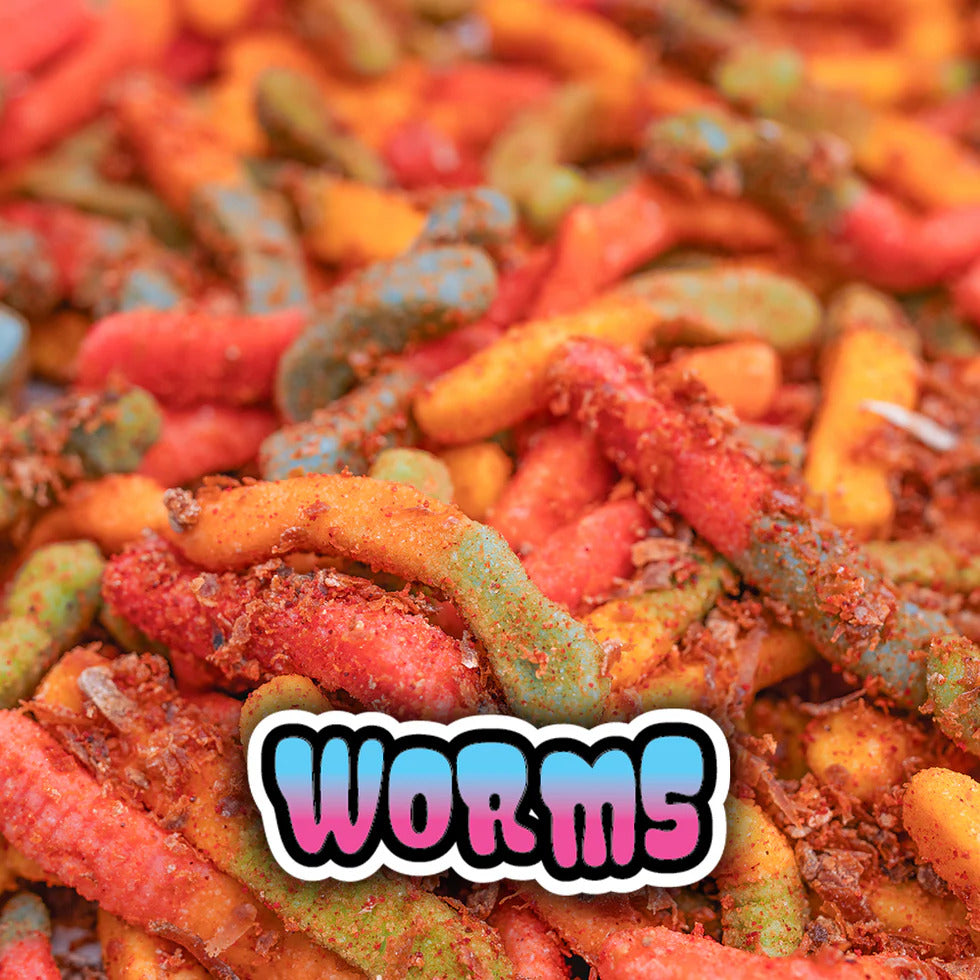 Noms - Worms Pouch - Front View | Pop-Up Mākeke