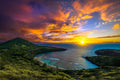 Pop-Up Mākeke - Hawaii Premier Puzzles - Hanauma Bay -  Oahu, Hawaii 1000-Piece Puzzle