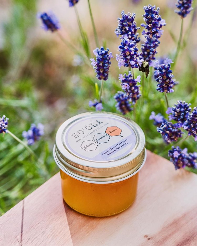 Hoʻōla Honey - Lavender Honey - Front View | Pop-Up Mākeke