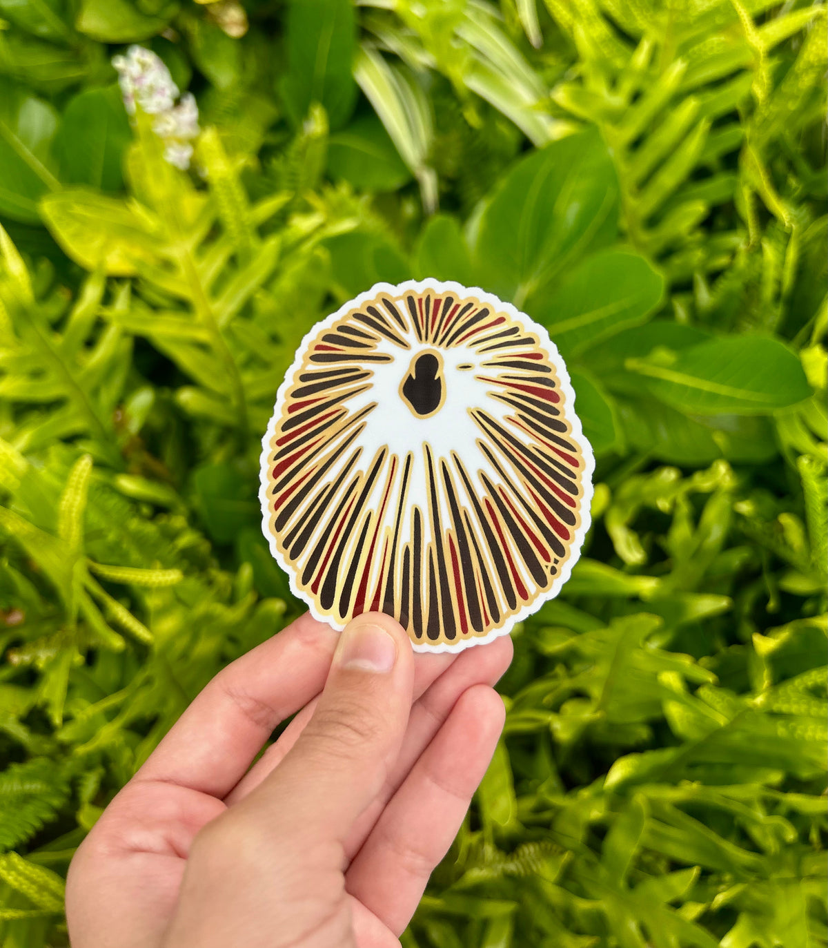 Pop-Up Mākeke - Mahea Leah - Opihi Sticker - Front View