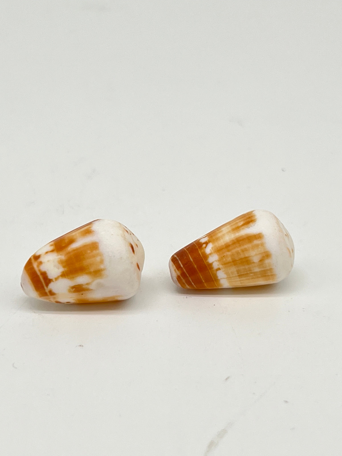 Shell Stud Earrings - Style #PE59