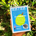 Pop-Up Mākeke - Ulus to Ulus Local Card Game Expansion Pack - Back View
