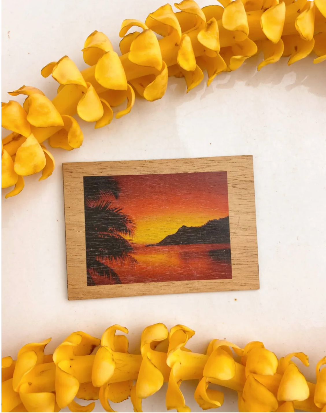 Koa Magnets Makeneki