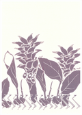 Tutuvi ʻŌlena Note Card 5" x 7"
