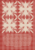 2027 Makahiki Wall Calendar