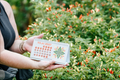 2027 Makahiki Desk Calendar