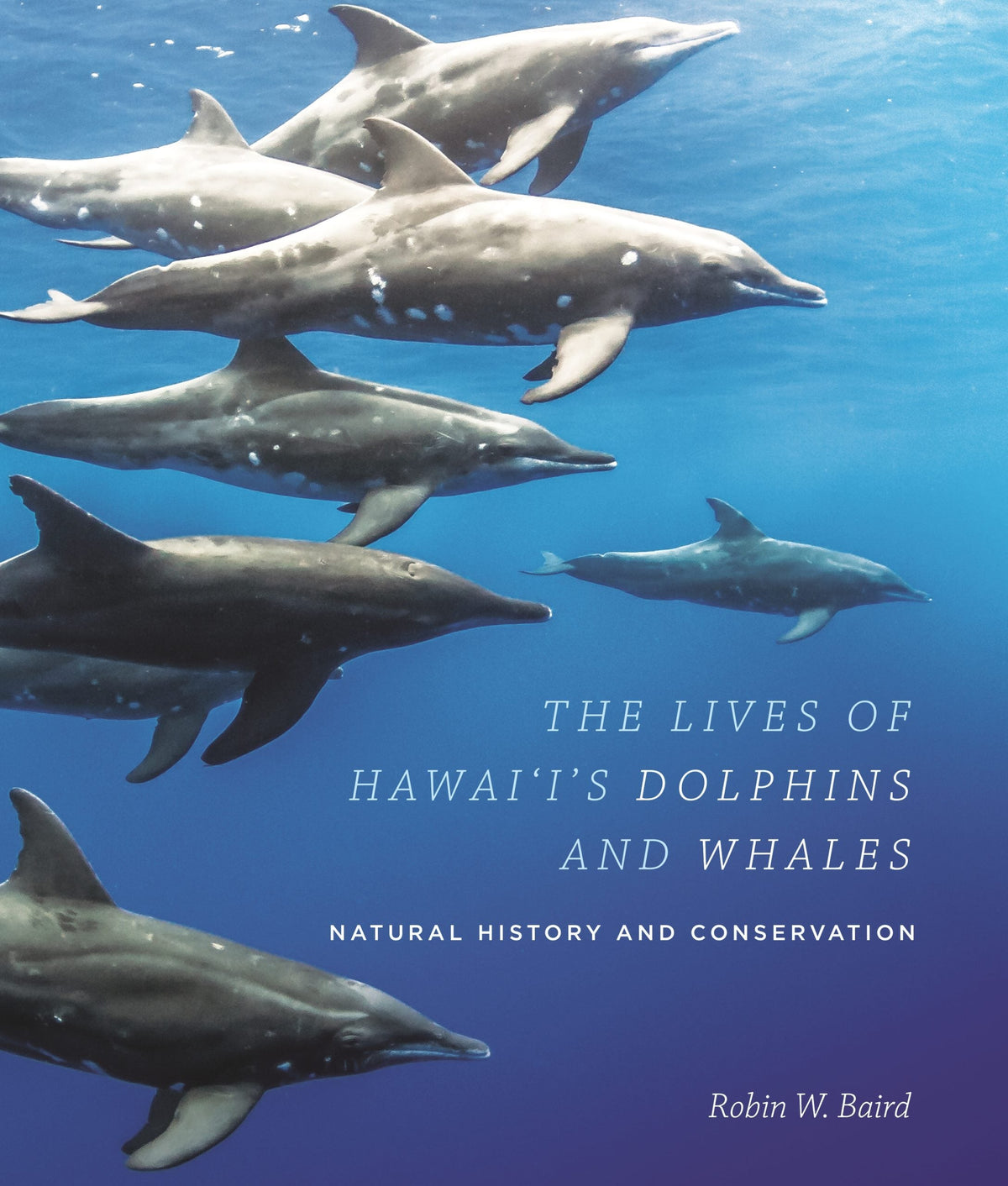 Lives of Hawaii's Dolphins and Whales: Natural History and Conservation, The