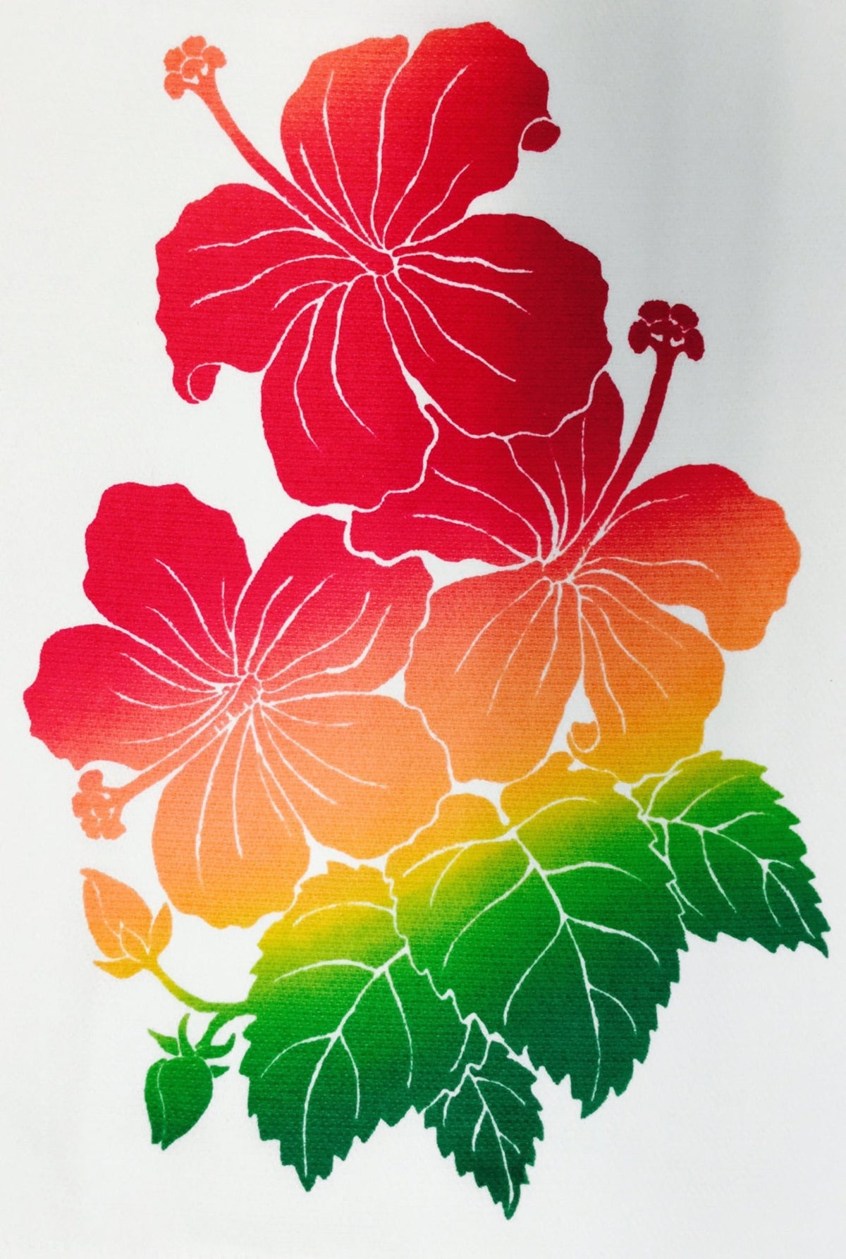 Janet Holaday Kitchen Towel