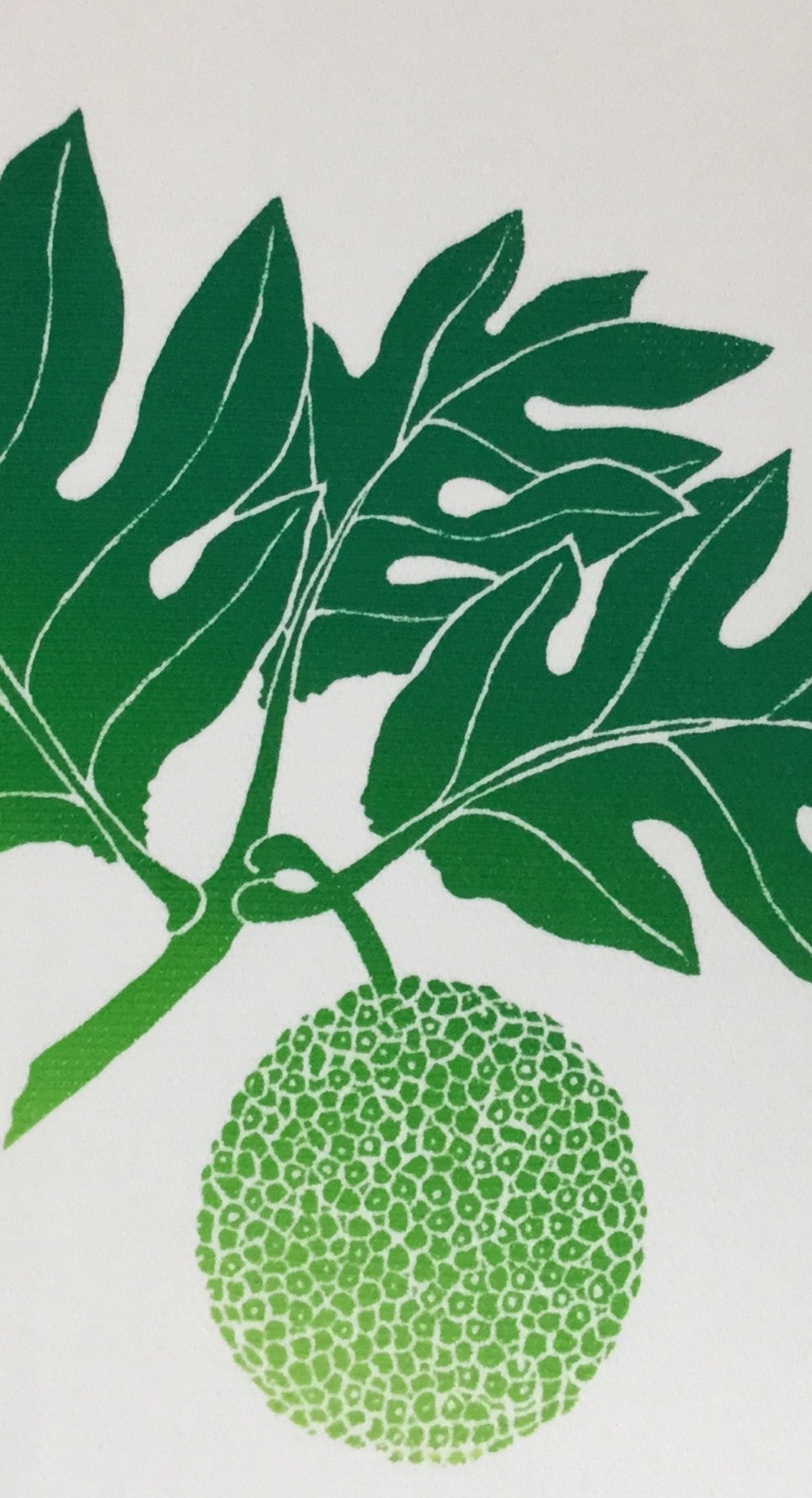 Janet Holaday Kitchen Towel
